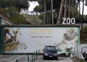 zoo_napoli